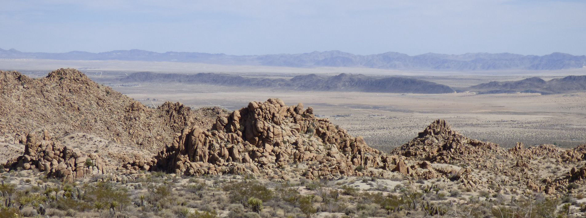Joshua Tree National Park Trails