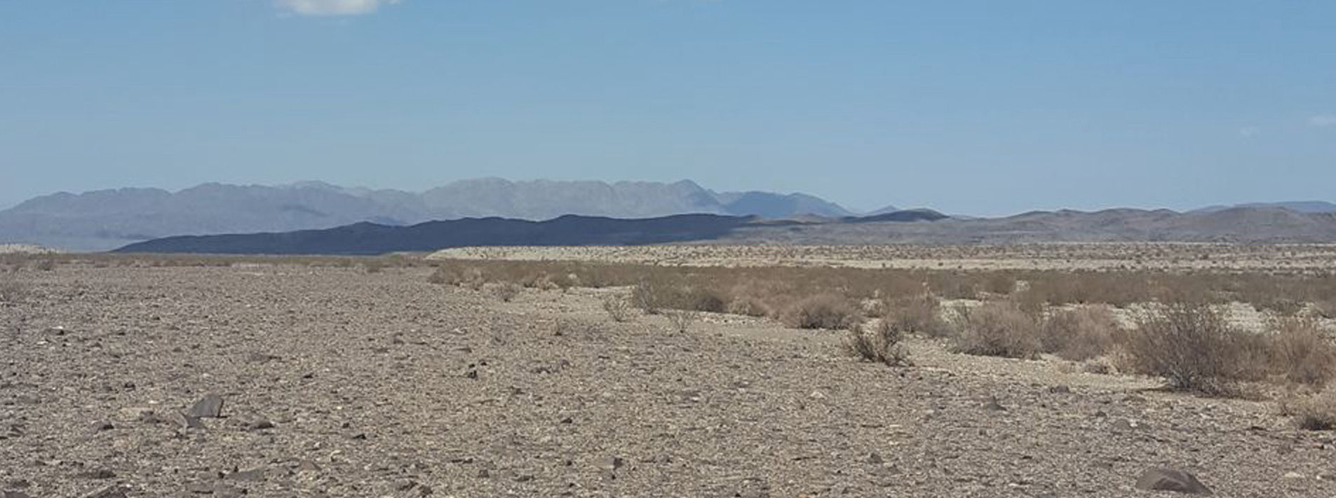 Joshua Tree National Park Trails
