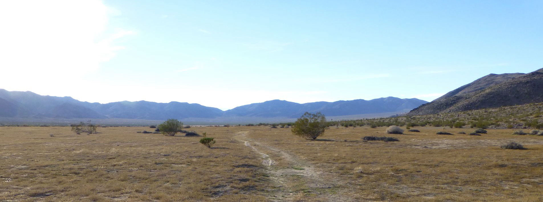 Joshua Tree National Park Trails