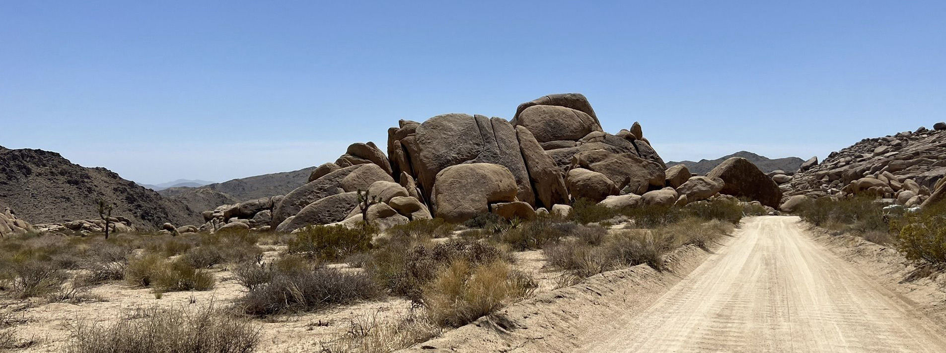 Joshua Tree National Park Trails