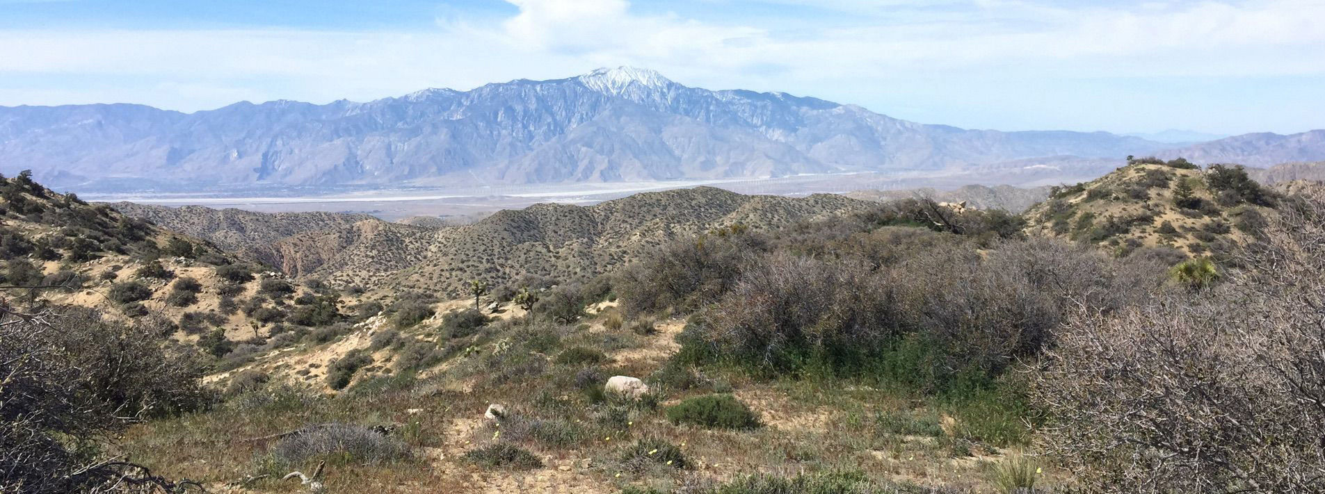 Joshua Tree National Park Trails