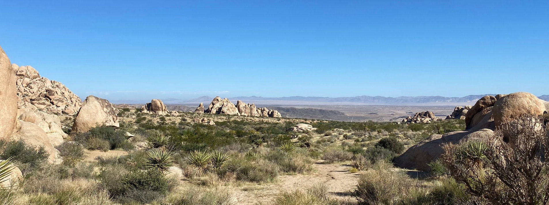 Joshua Tree National Park Trails