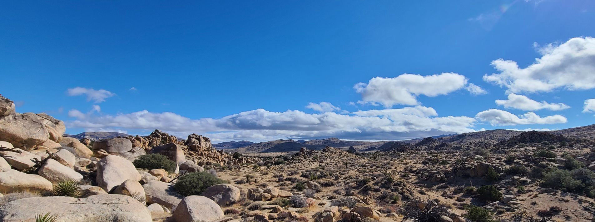 Joshua Tree National Park Trails