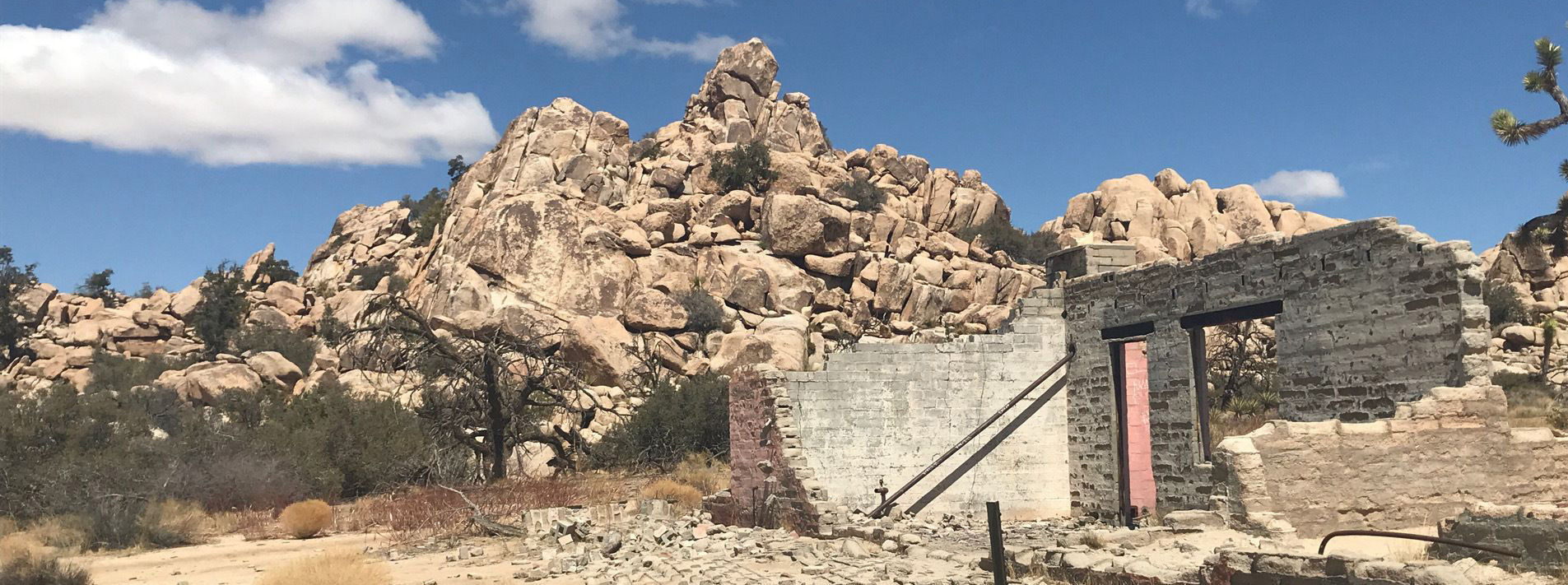 Joshua Tree National Park Trails