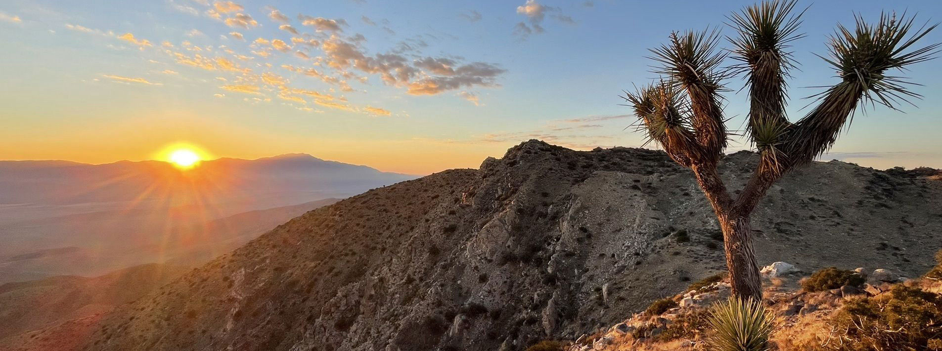 Joshua Tree National Park Trails