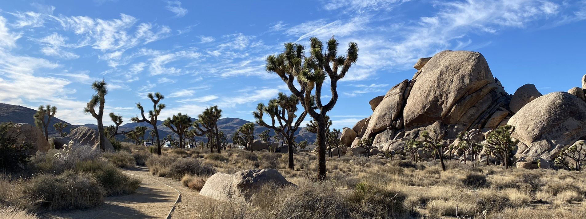 Joshua Tree National Park Trails
