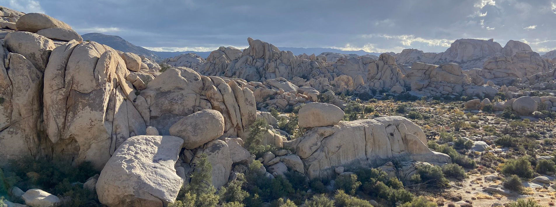 Joshua Tree National Park Trails