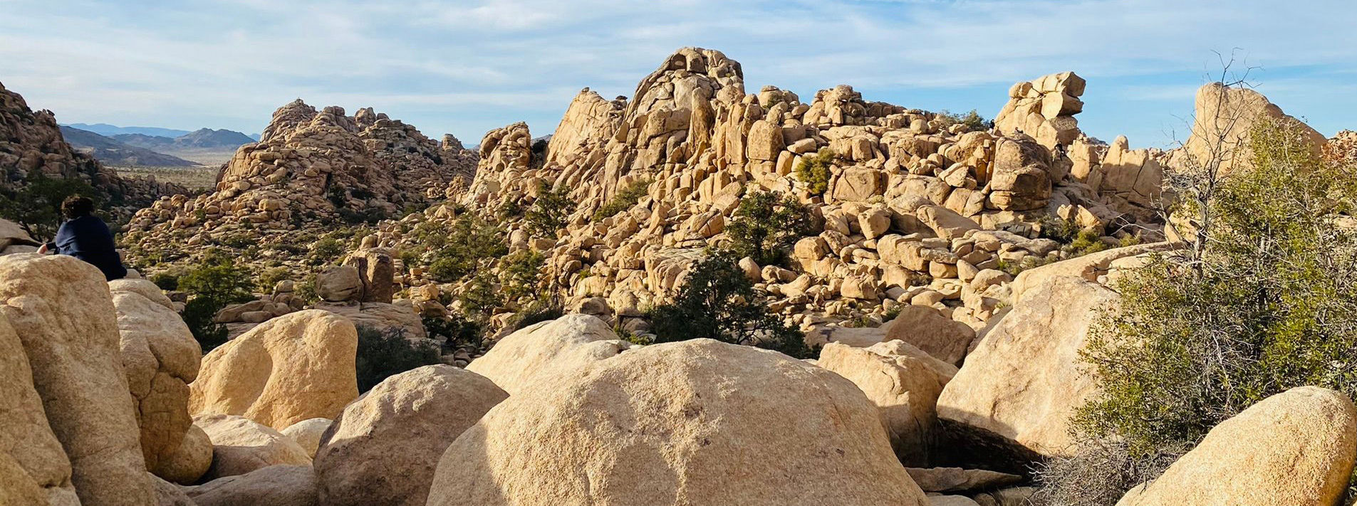 Joshua Tree National Park Trails