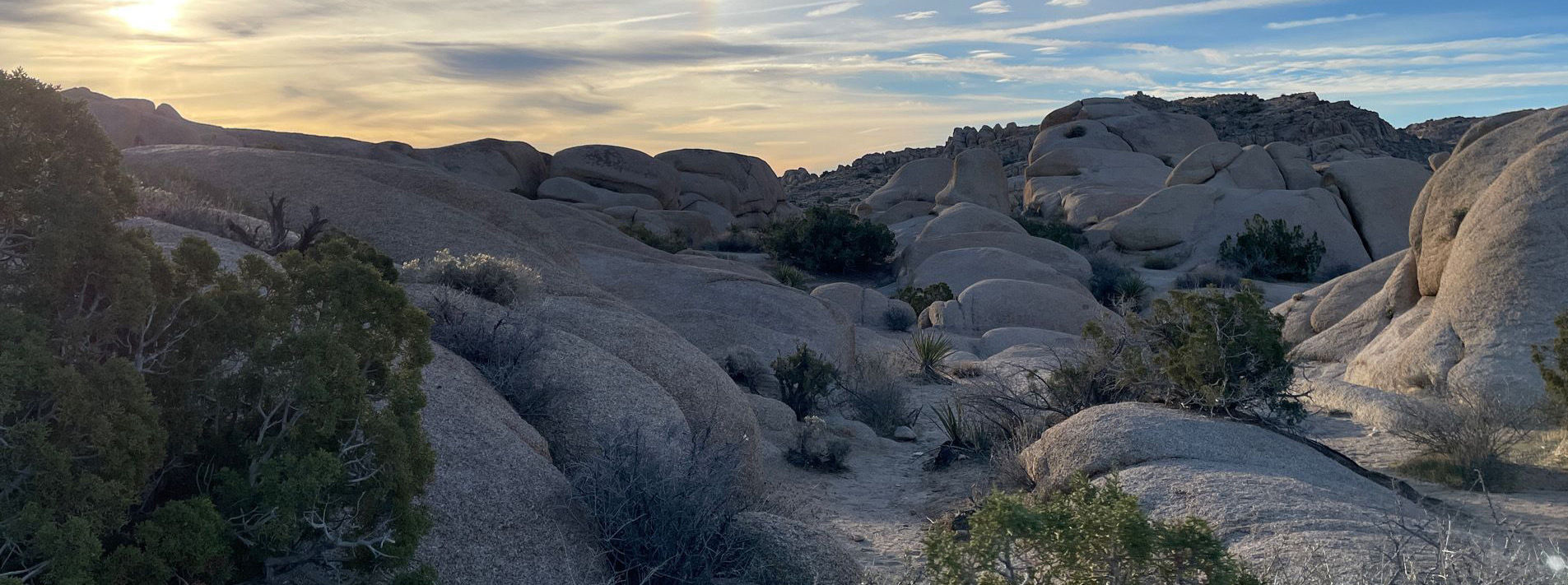 Joshua Tree National Park Trails