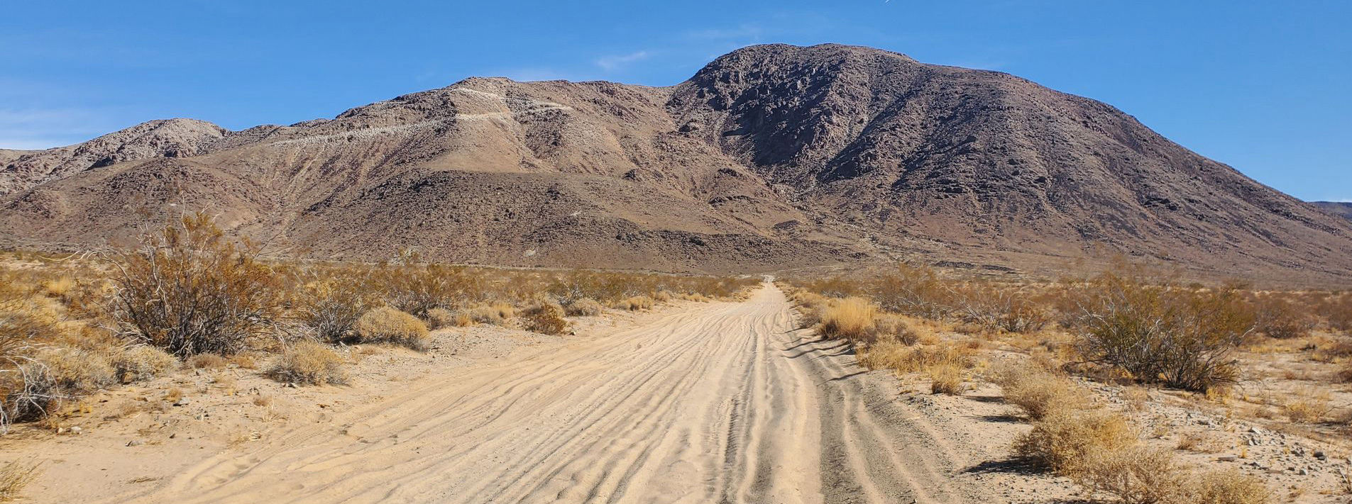 Joshua Tree National Park Trails