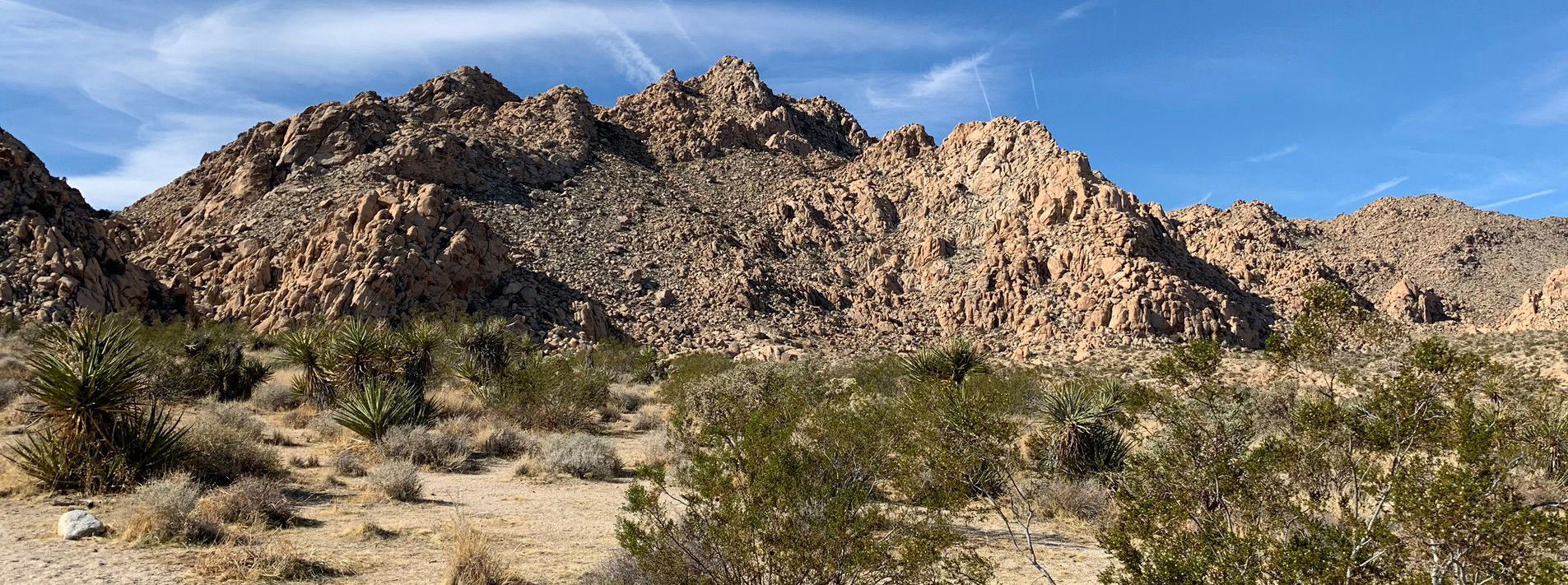 Joshua Tree National Park Trails