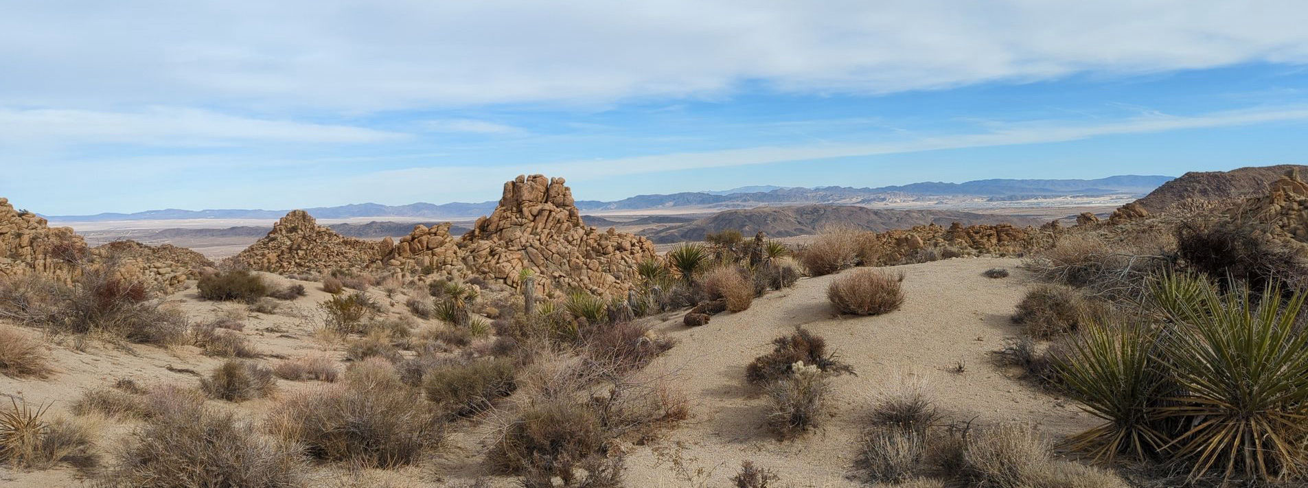 Joshua Tree National Park Trails