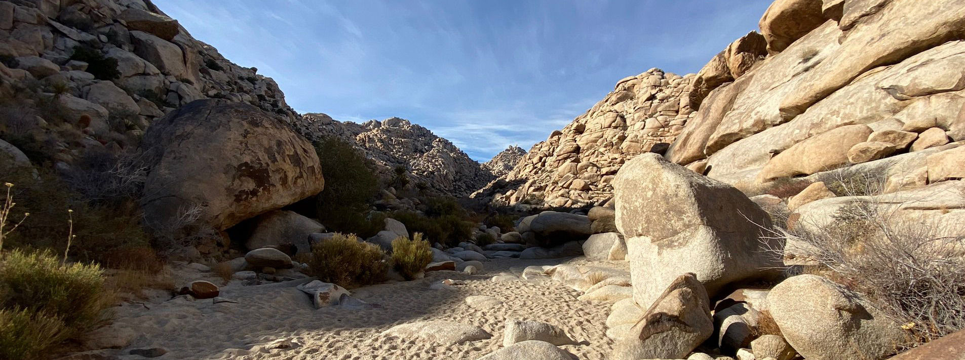 Joshua Tree National Park Trails
