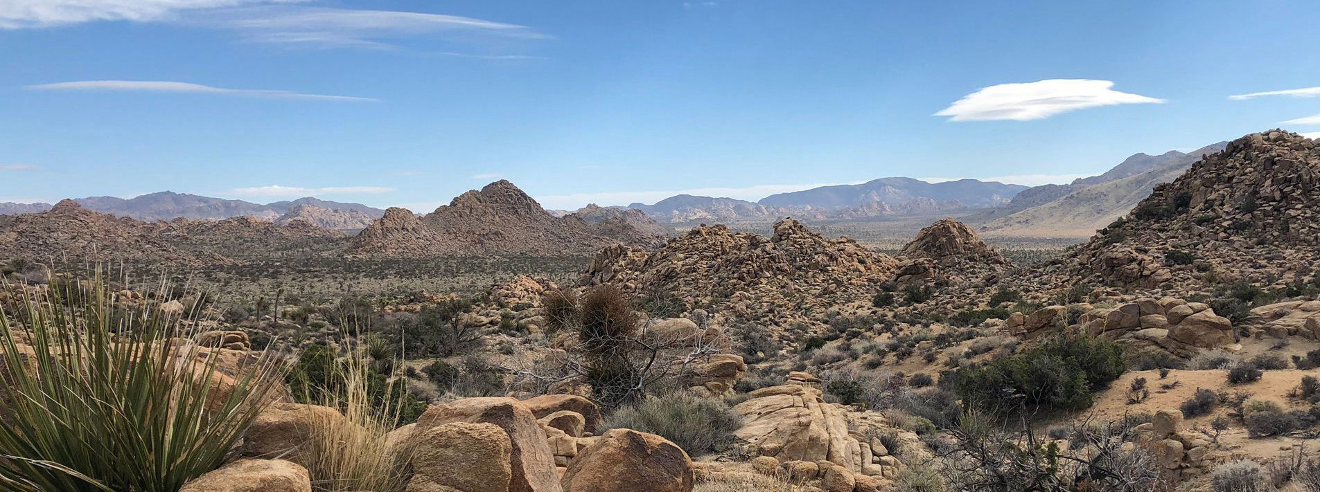 Joshua Tree National Park Trails