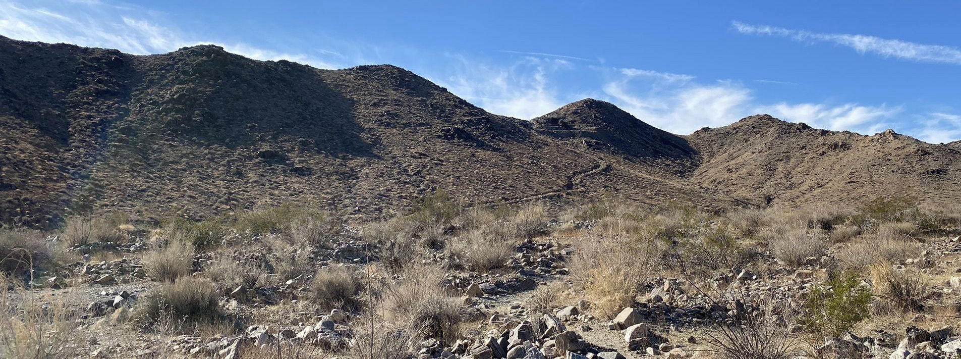Joshua Tree National Park Trails