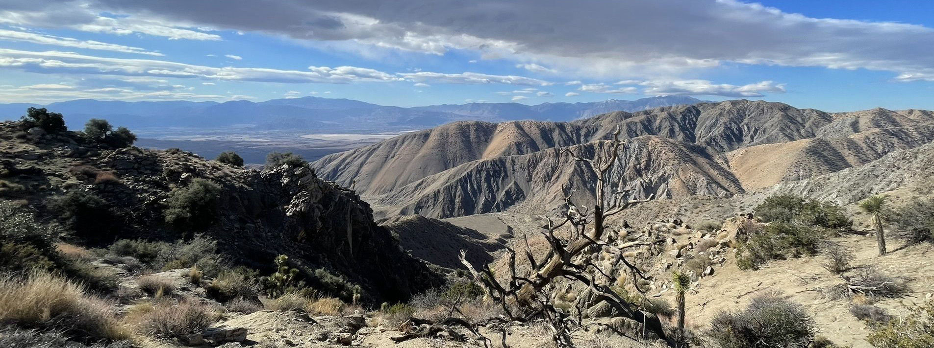 Joshua Tree National Park Trails