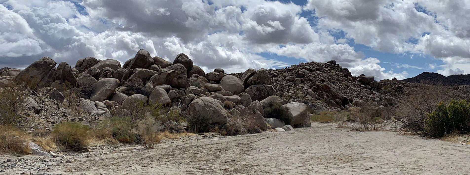 Joshua Tree National Park Trails