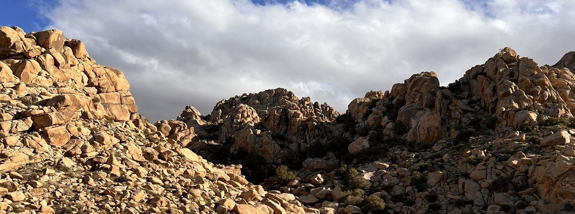 Joshua Tree National Park Trails