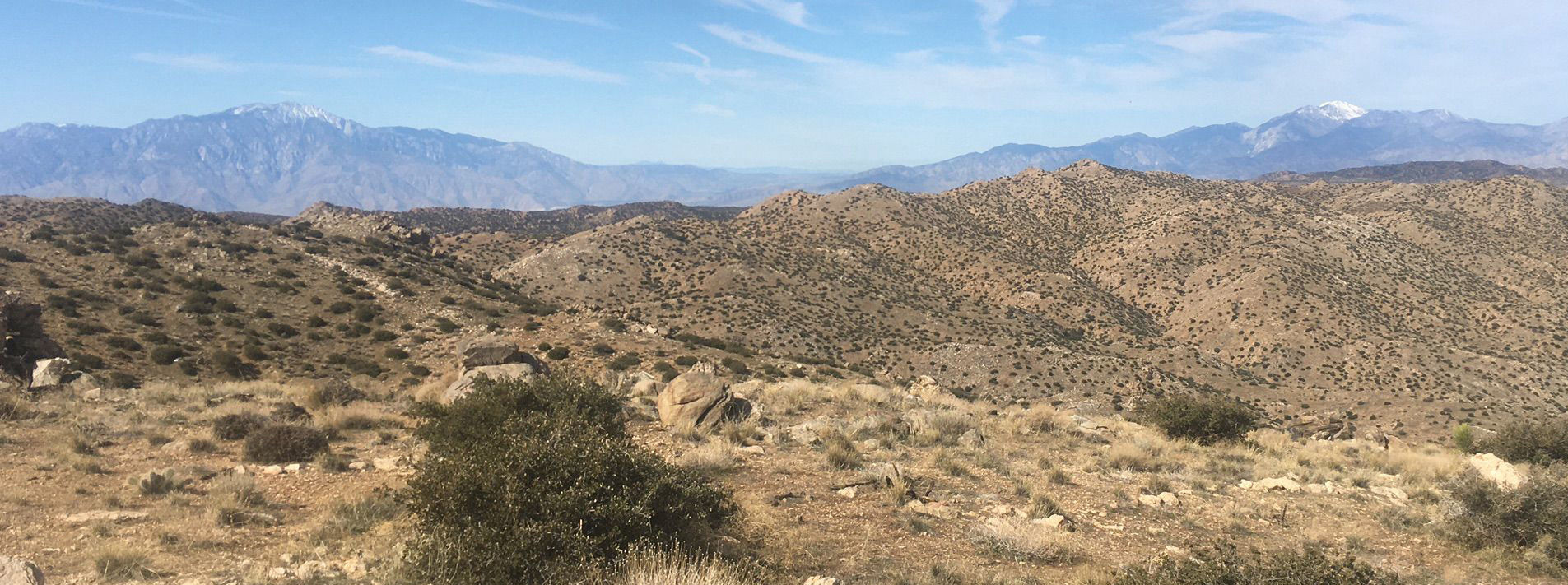 Joshua Tree National Park Trails