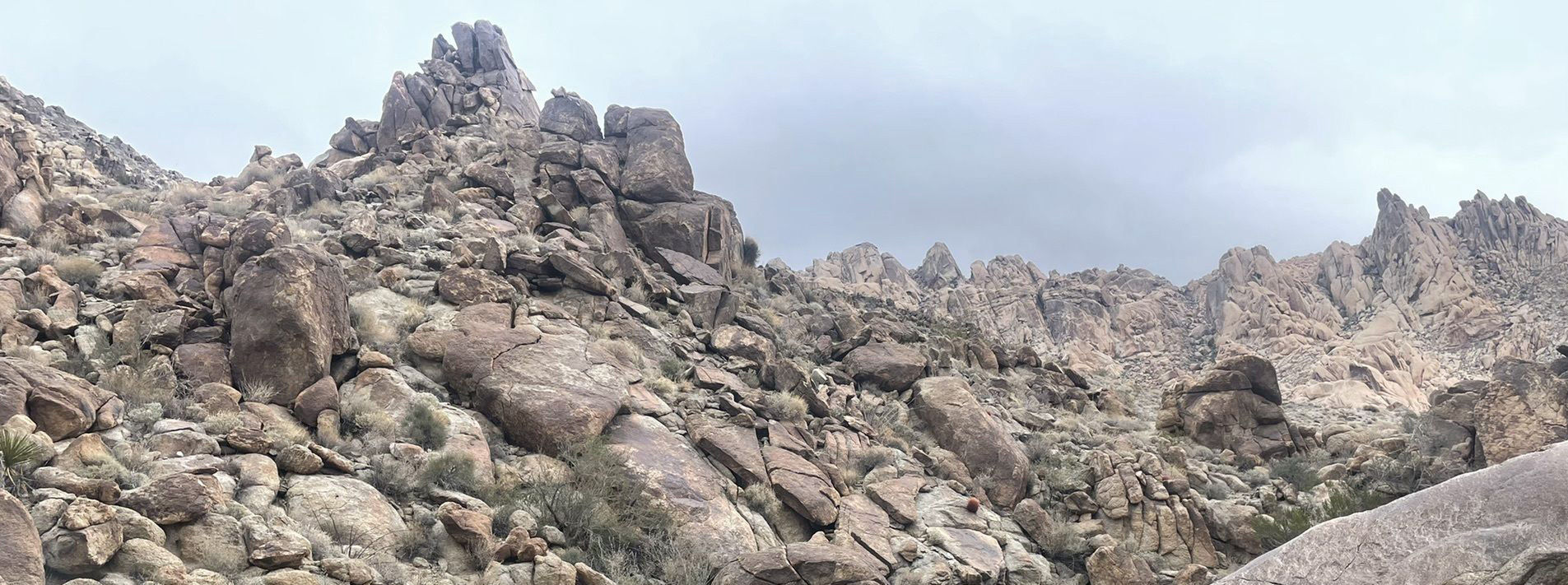 Joshua Tree National Park Trails