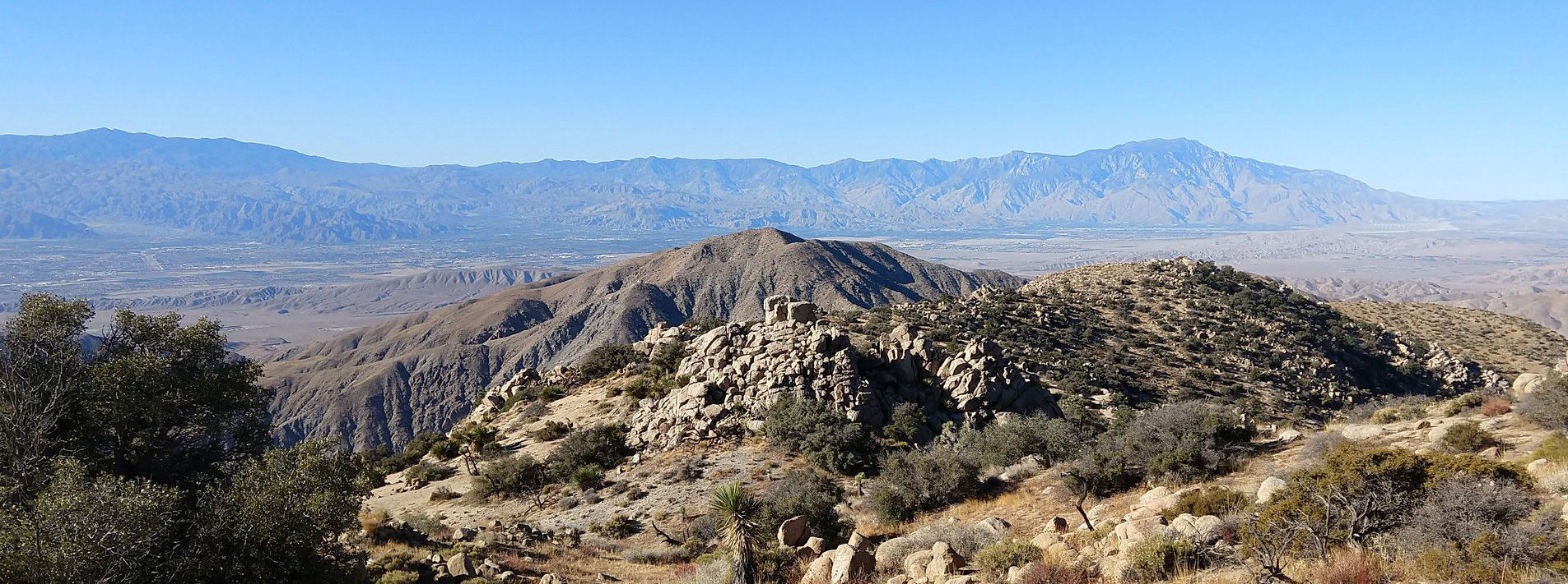 Joshua Tree National Park Trails