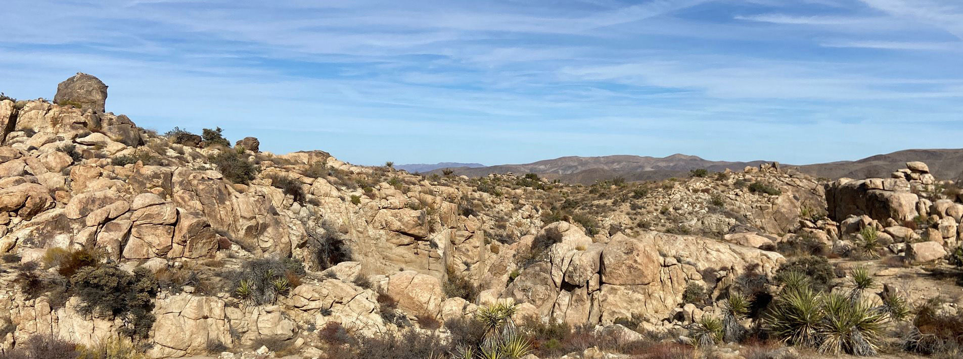 Joshua Tree National Park Trails