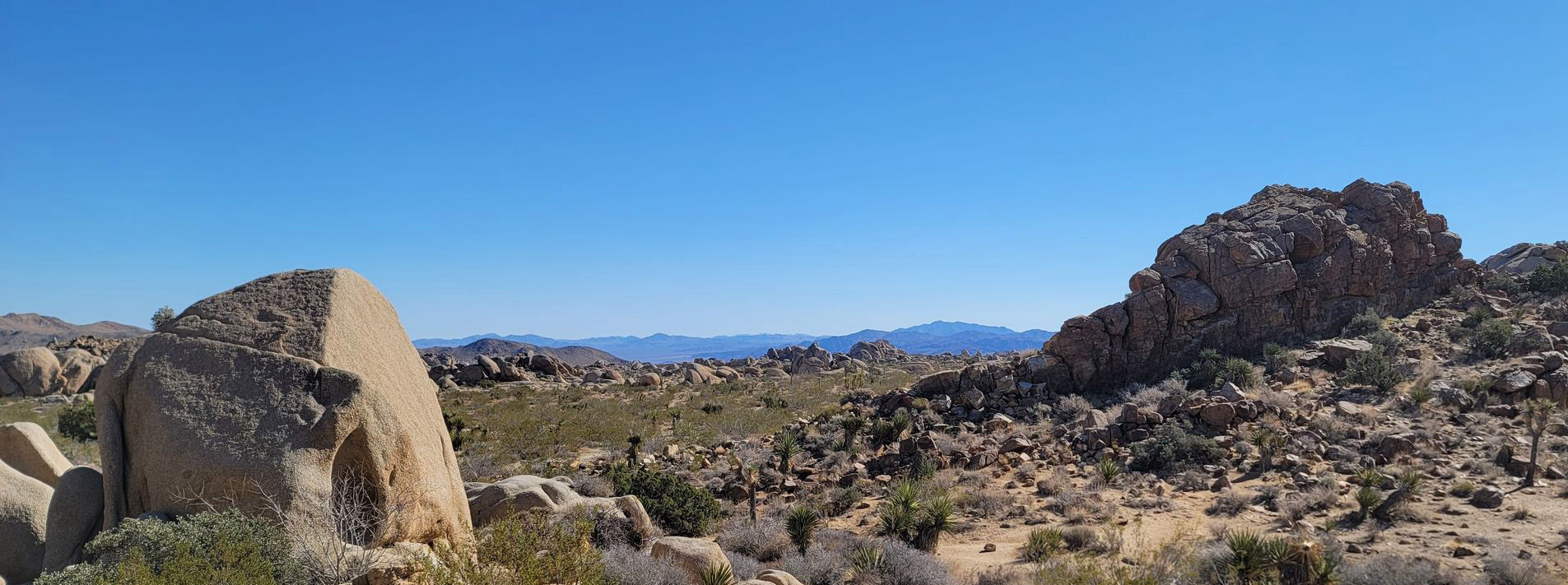 Joshua Tree National Park Trails