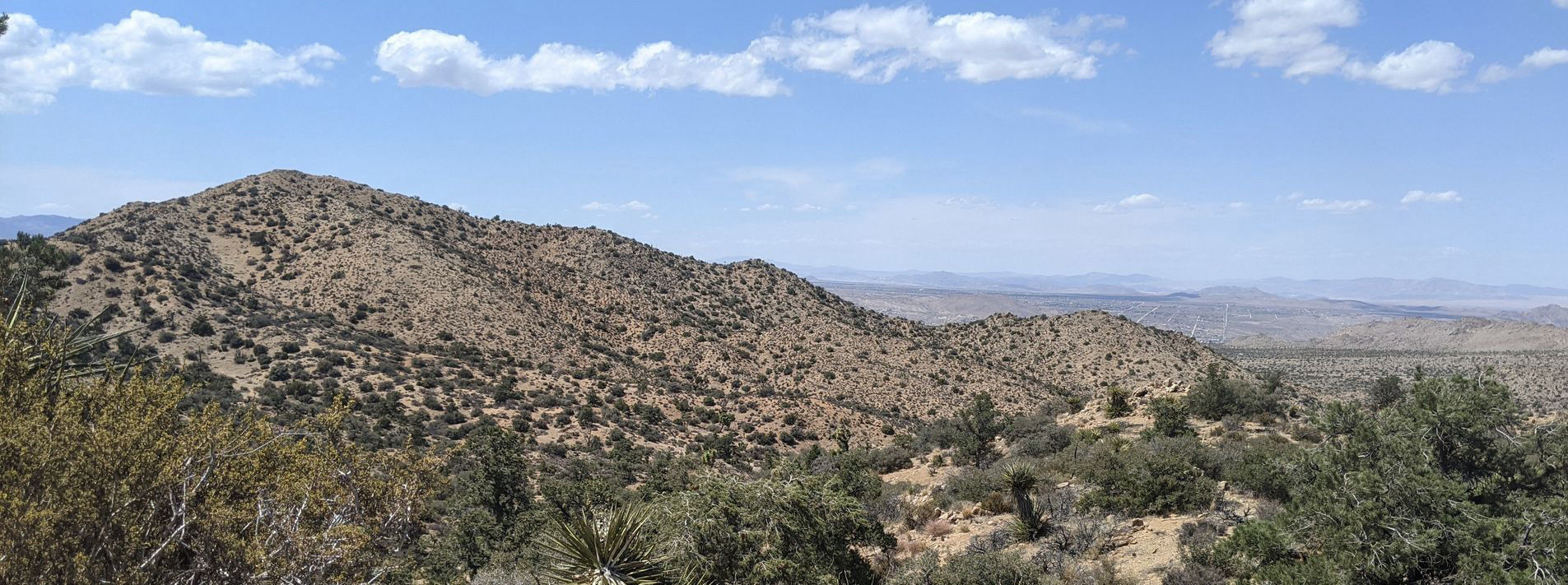 Joshua Tree National Park Trails