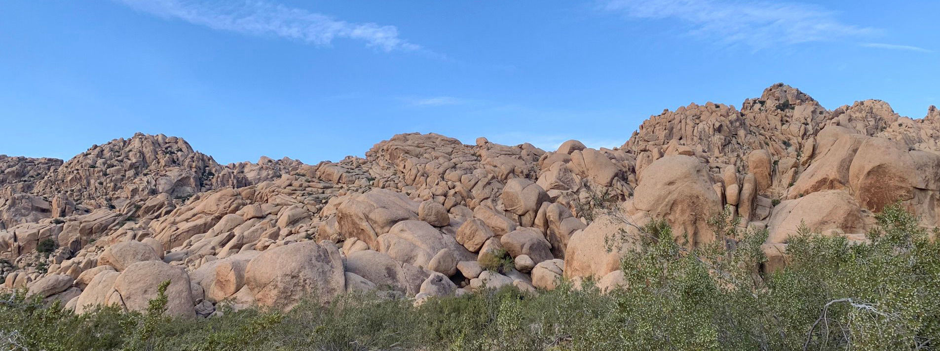 Joshua Tree National Park Trails